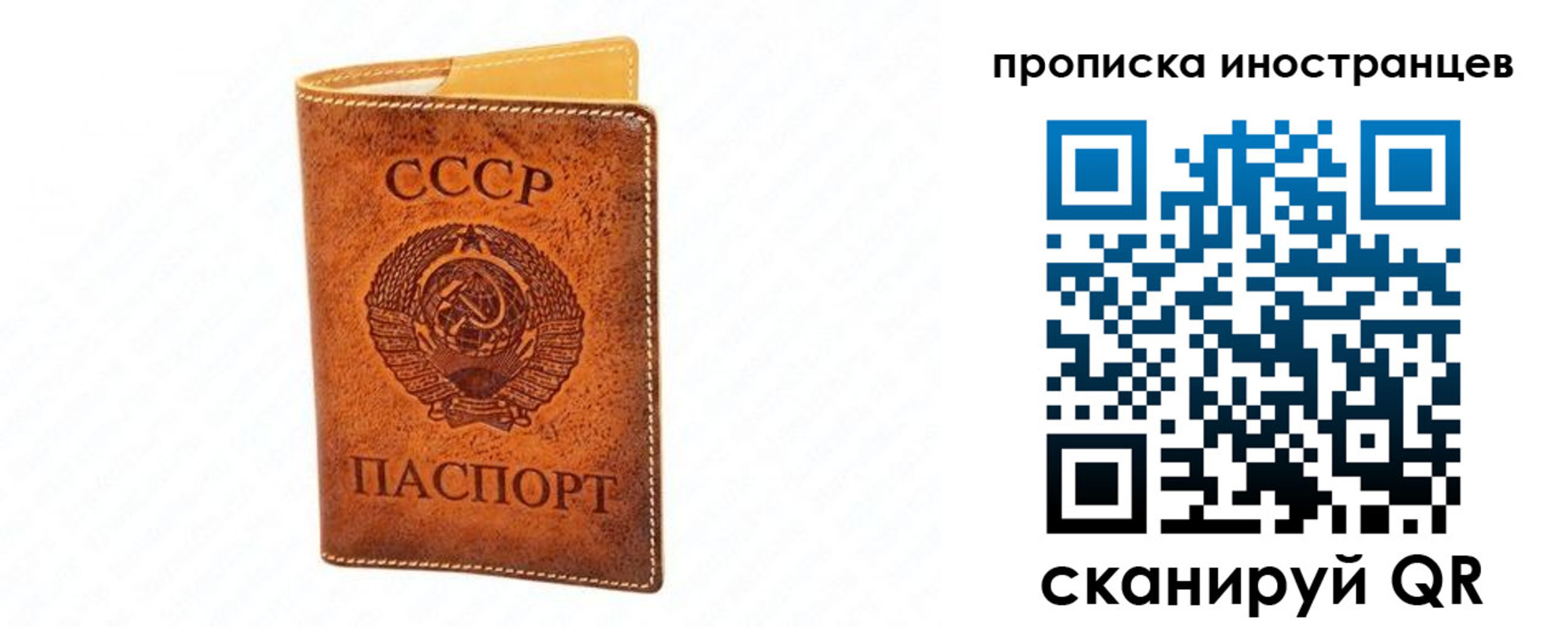 прописка для школы в Амурске